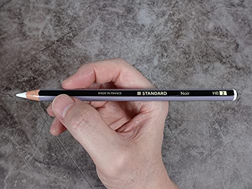 Adhesivo protector premium texturizado Apple Pencil 2 rayas 4
