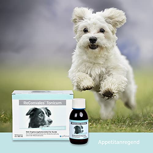 alfavet ReConvales Tonicum Hund, 6x90 ml Flasche, appetitanregendes Ergänzungsfuttermittel zur Rekonvaleszenz und bei Untergewicht