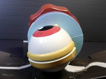 Amazon.co.jp: ゲゲゲの鬼太郎 目玉おやじ 電動