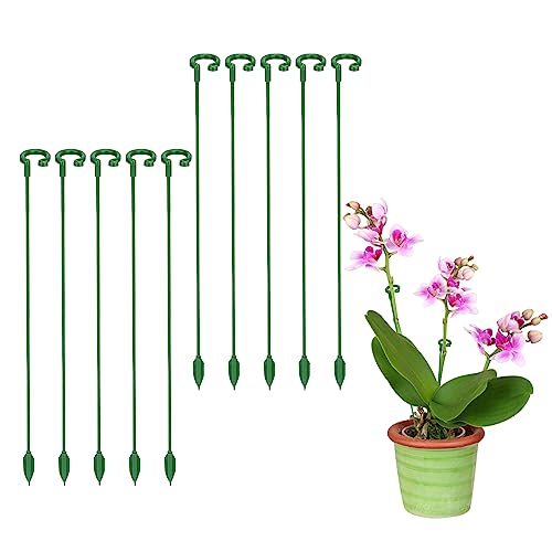 Andiker AT|[gY 10.6C` ApY 𐧌䂷鉮Ap AT|[gNbv   g}g ` ~ hp (10.6C` (10))