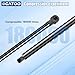 Rear Hatch Liftgate Struts Trunk Gas Shocks Supports Spring Compatible with 1995 1996 Jeep Cherokee XJ 2.5L 4.0L Sport Utility, Replace OE 4218 SG214002 8195629