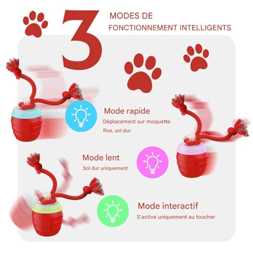 Balle interactive pour chat : jouet d'enrichissement électrique