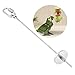 HEEPDD Jouet Perroquet, Brochette Nourriture Perroquet Fruits Légumes Viande Alimentaire Porte-bâton Petit Animal Huche Cage Cage Foraging Toy Perroquets Traiter Outil (L)