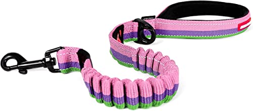 EzyDog Zero Shock Dog Leash - Shock Absorbing Bungee Leash for Dogs that Pull or Excite - Dual...