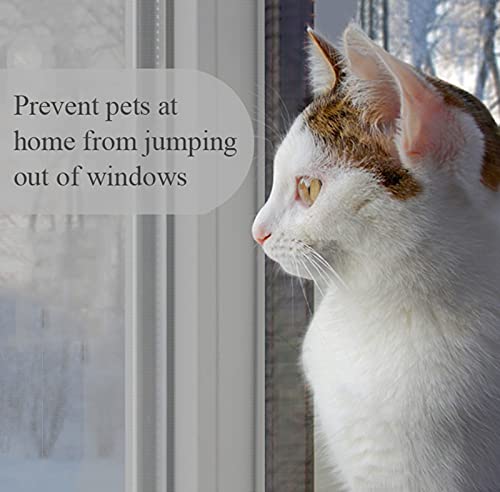 Zanzariera Universale Finestra Finestra Zanzariera...