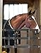 Harrison Howard Poly Double Layer Nylon Easy Installment and Adjustment 3 Slat Stall Guard for Horses Black