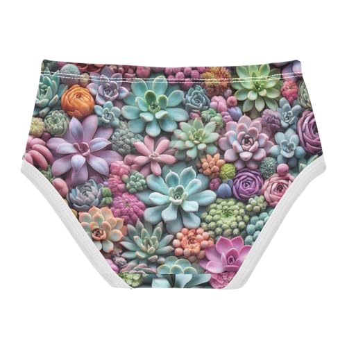 Girls Underwear Toddler 2t Cotton Little Girl Panties Durable Briefs Kids Undies Colorful Succulents Floral2