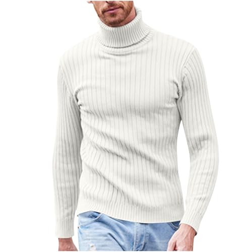 Men's Turtle Neck Sweaters Casual Slim Fit Lightweight Long Sleeve High Neck Pullover Fall Winter Warmth Jumper Top