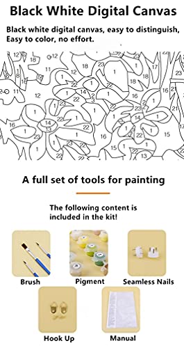 Captaincrafts New Paint By Number Kits Dancer Ballet Ballerina Red Fire Girl 16X20 Inch Diy Painting By Numbers For Adults Beginner (With Frame) #TOP4