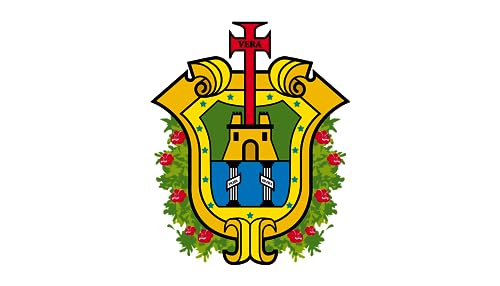 Drapeau paysage Veracruz 80x120 cm | Grand pavillon horizontal extérieur de 0.96m² - 2