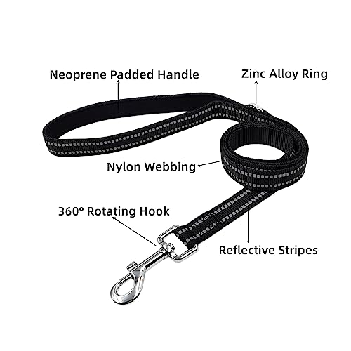 Olahibi Set di collare e guinzaglio per cani di