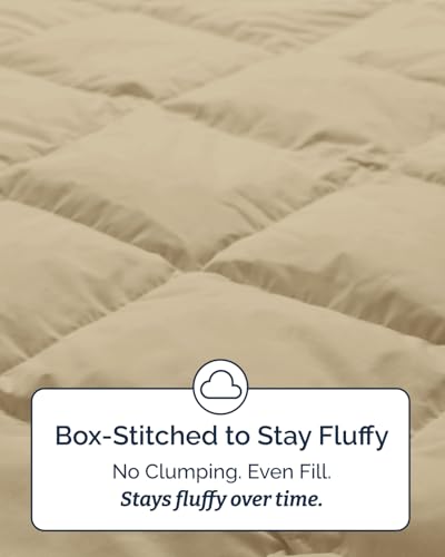 Image of Twin Size, Beige Alternative Down Comforter - Warm, Lightweight & Breathable Hotel Quality Bedding Set for Men, Women, Kids and Teens - All Season Oversized Cooling Microfiber Duvet Insert Comforter
