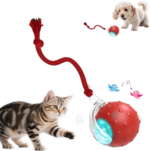 Interactive Cat Toys Ball - 2025 New Gen with Smart Obstacle Avoidance,Bird Chirps & Auto Wake-Up,Includes 1 Speedy Tail 2.0 Ropes, Ideal Kitten Toys for Bored Indoor Cats (Red)