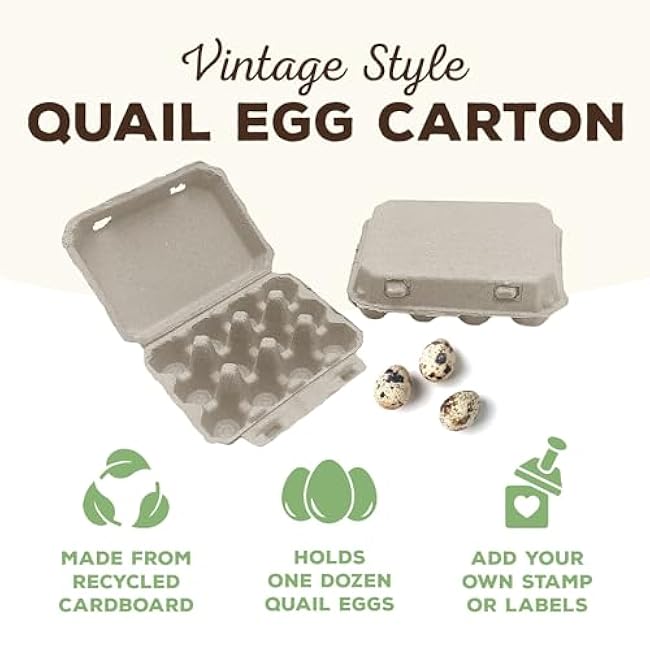 Henlay Quail Egg Cartons - Recycled Cardboard Paper Pulp 3x4 Square Style - Holds One Dozen Eggs (30)