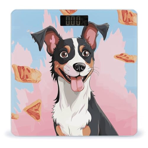 Balanza digital de baño para perros Rat Terrier miniatura 1