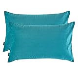 Artcest Set of 2, Cozy Solid Velvet Throw Pillow Case, Decorative Couch Cushion Cover, Soft Sofa Euro Sham with Zipper Hidden, 12