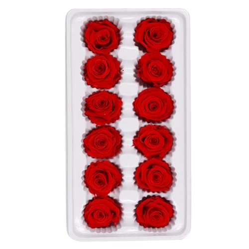 Rosas preservadas rojas HINTRMENT de 3-4 cm para decoración DIY 2
