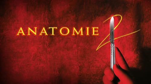 Anatomie 2 – vue 2
