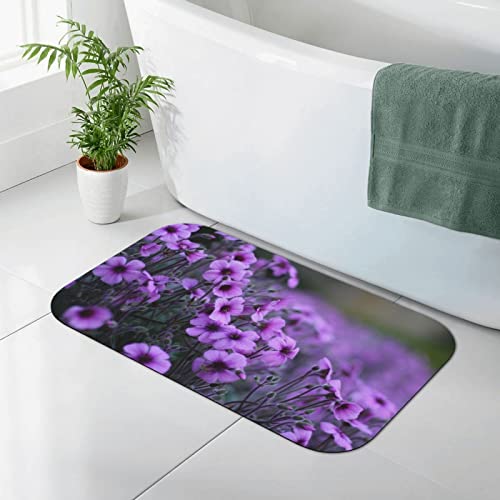 Alfombrilla de Suelo con Ramo de Lavanda, Alfombrilla de baño de Tierra de diatomeas, Alfombrillas de Ducha Antideslizantes absorbentes, Alfombrillas de 40x60cm Cover
