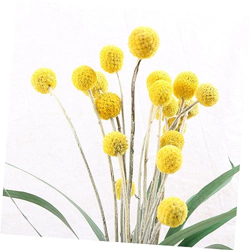 20 unidades flores secas estilo natural decoración miniatura 6