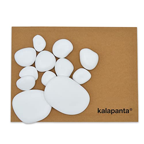 Kalapanta Kit de Test 12 Galets décoratifs Mixtes (10 Petites, 2 Grandes), Plastique recyclé pour Pots, Peinture, Aquariums, Maison, Jardin
