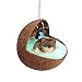 Maison du Hamster Bird Maison, Nid D'oiseau Perroquet, Oiseau Lit Suspendu, Coquille De Noix De Coco Naturelle pour Cage,Jouets,Perruche, Hamster,Décoration Intérieure