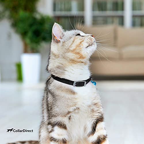 CollarDirect Leder Katzenhalsband mit Sicherheitsverschluss 21,5 cm Schwarz, Elastischer Gurt und Glocke für Kleine Katzen