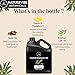 Naturevibe Botanicals Castor Rosemary Oil 32 Ounces | 100% Pure and Natural | Great for Skin Care and Hair Care