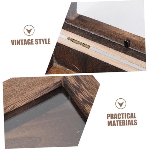 VALICLUD Vitrina de Madera Rústica para Exhibición de Especímenes de Insectos con Tapa Transparente, Caja Rectangular de Paulownia de 15x15x4,5 Cm, Resistente al Polvo, para Decoración - imagen 9