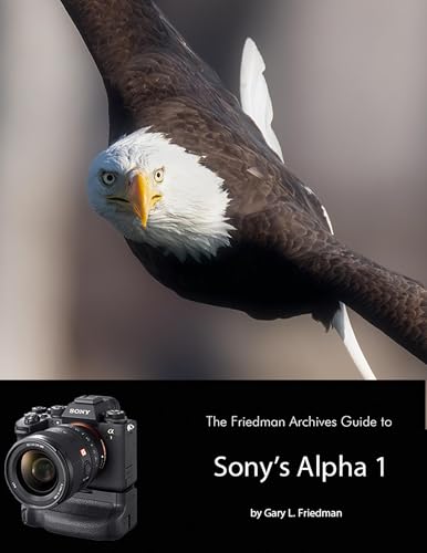 The Friedman Archives Guide to Sony's Alpha 1 (English Edition)
