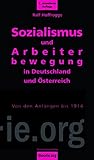 Sozialismus und Arbeiterbewegung in Deutschland und Österreich: Von den Anfängen bis 1914 (theorie.org) - Ralf Hoffrogge 