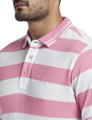 Image of Colorplus Men's Cotton Polyester Blend Stripe Pattern Tailored Fit Polo Neck Half Sleeve Casual T-Shirt