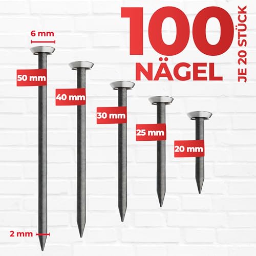 RIKAMA® – 100 Bildernägel – Stahlnägel für den Einsatz auf Beton, Ziegelstein, Putz & Holz – Nägel aus gehärtetem Stahl als Bilder Aufhängung – Made in Germany (Silberner Kopf, 100er Mix)