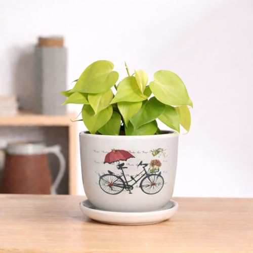 Image of Urban Upvan Cycle Design Printed Ceramic Pot with Tray - Premium Decorative Planter for Indoor & Outdoor Plants, Modern Elegant Flower Pot for Home, Garden & Office