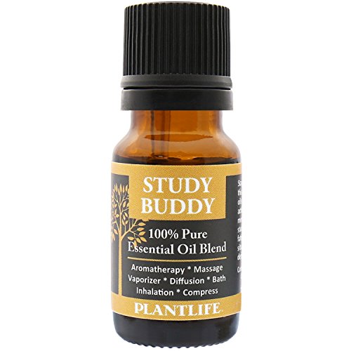 Plantlife Study Buddy Aromatherapy Essential Oil Blend - Straight from The Plant 100% Pure Therapeutic Grade - No Additives or Fillers - Made in California 10 ml