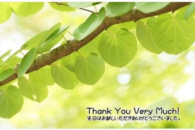 Amazon 感謝を伝えるポストカード Thank You Very Much 先日はお越しいただきありがとうございました 木々の葉書photo By Hiromi ポストカード 絵柄付はがき 文房具 オフィス用品