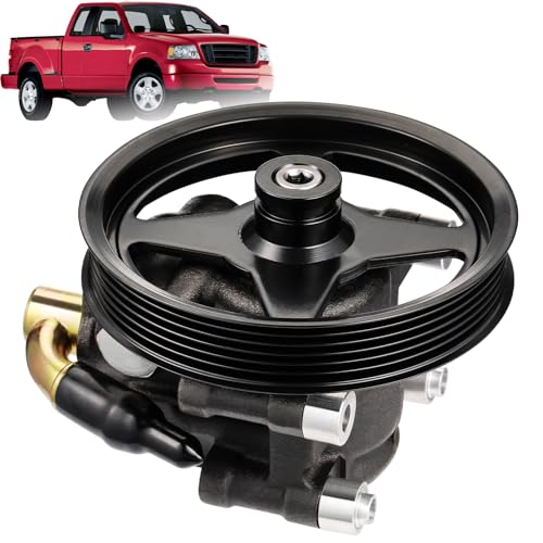 ISINFLASH 20-312P1 Power Steering Pump (For 4.6L/5.4L V8) Compatible With ...