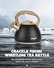 POLIVIAR Tea Kettle, 2.7 Quart Stovetop Tea Kettle, Audible Whistling Teapot with Crackle Finish, Food Grade Stainless Steel for Anti-Rust, Anti Hot Handle, Suitable for All Heat Sources (JX2023-LRB) #1