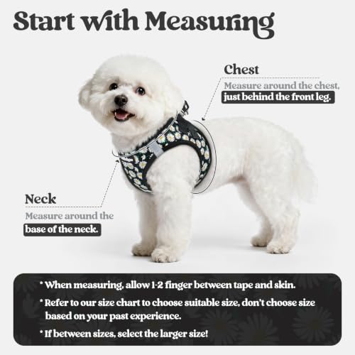 Image of rabbitgoo Dog Harness Medium Sized and Leash Set, Step-in Puppy Pet Vest