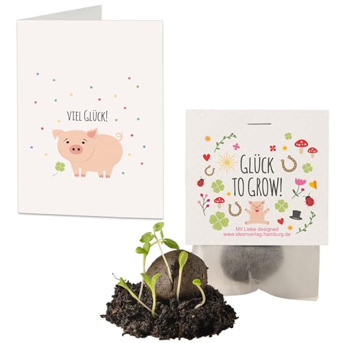 10x 'Glück to grow' Samenbomben & Geschenkkarten Set | kleine Glücksbringer & Mini Geschenke | Saatbomben Gastgeschenk | Neujahrsglücksbringer | kleine Aufmerksamkeit für Kollegen