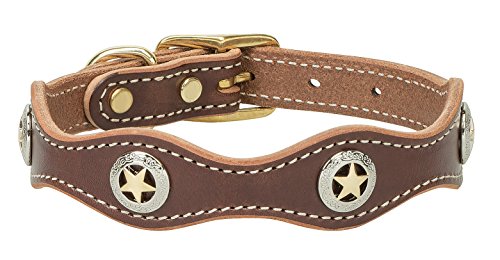 Weaver Pet Lone Star Legend Collar Sunset, 3/4 x 15-inch 06-1712-ST-15