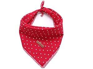 Unique Style Paws 1PCS Hundehalstuch Roter Punkt