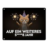 Mürrische Katze auf ein weiters s****ß Jahr Metallschild XL in 21x28 cm Blechschild für Silvester mit Cat Design als schöne Dekoration mit Wunderkerzen und Partyhut verziert