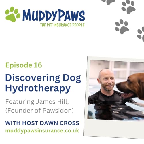 Page de couverture de Discovering Dog Hydrotherapy