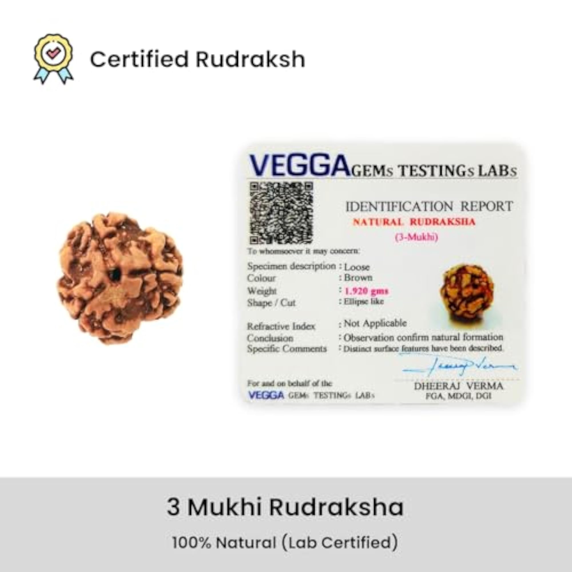 3 Mukhi Original Certified Nepali Rudraksha Pendant, Unisex