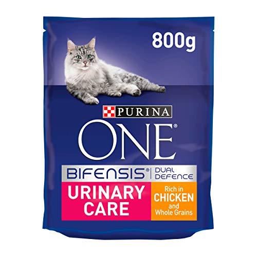 Purina ONE Urinary Care Dry Cat Food Chicken 750g, Pack of 1