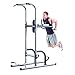 Gold's Gym XR 10.9 Power Tower