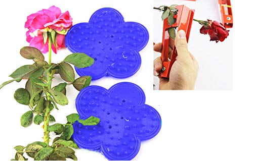 3-Pack Herramienta para Quitar Espinas y Hojas de Rosas miniatura 1