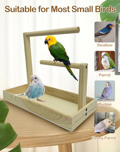 Image of Small Bird Training Stand Portable Tabletop Birds Perch Desktop Platform Training Perch with 5 Pcs Disposable Pads Parakeet Play Gyms Exercise for Budgie Conure Parrot Cockatiel Lovebird