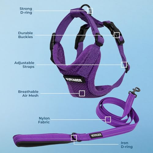 Image of Best Pet Supplies Voyager Step-in Lock Pet Harness w Reflective Pet Leash Combo Set with Neoprene Handle 5ft - Supports Small, Medium and Large Breed Puppies /Cats - Purple Set, L